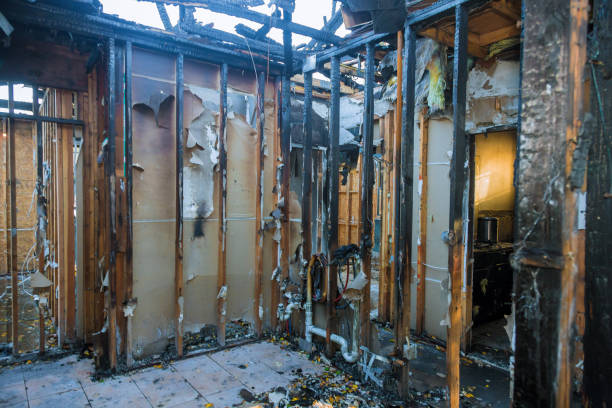Professional Smoke Damage Removal technician working in Cadott, WI